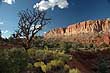 Bryce Canyon Utah Picture Gallery