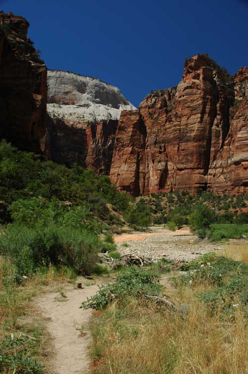 Zion Lower Canyon