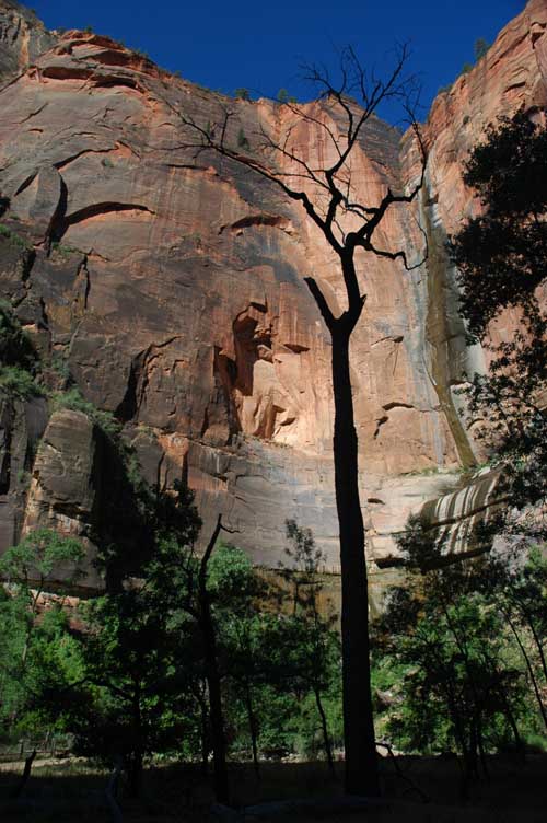 Zion Lower Canyon2
