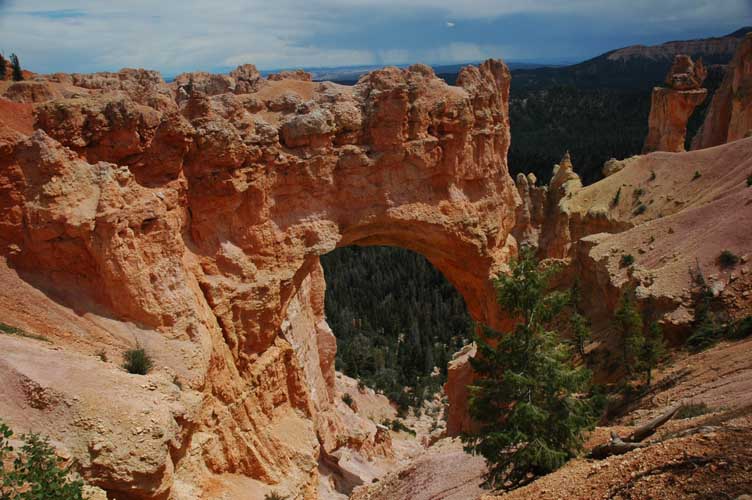 Bryce Arch