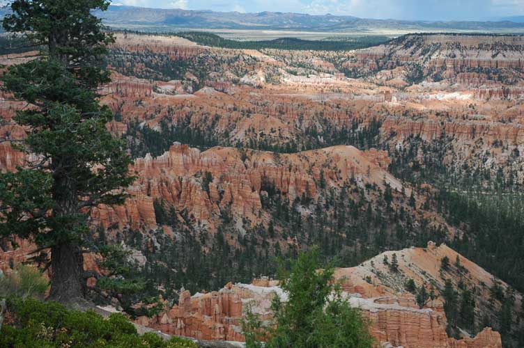 Bryce