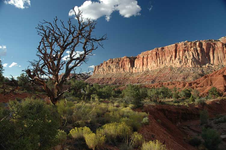 Arches National Park