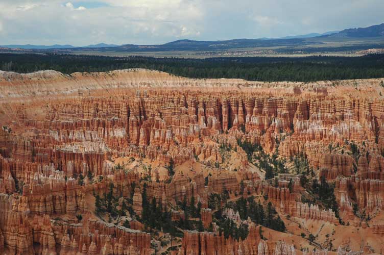 Bryce 2
