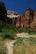 Zion Lower Canyon