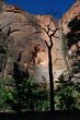 Zion Lower Canyon2