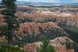 Bryce