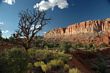 Arches National Park