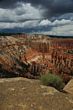 Bryce 3